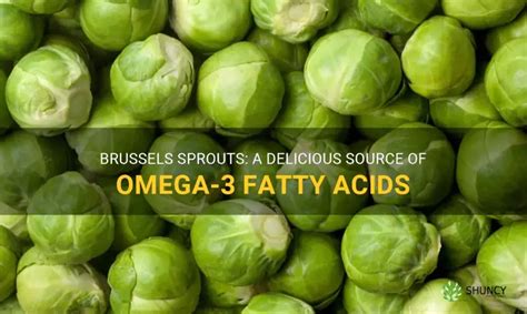 brussels sprouts omega 3|brussel sprouts nutrition reddit.